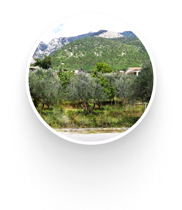 Ridotti